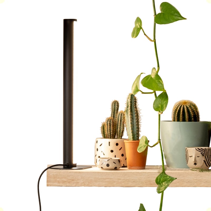 MOTHER مصباح نمو نباتات PlantSpectrum16، مصباح LED كامل الطيف بقوة 16 واط للنباتات الداخلية - Image 1