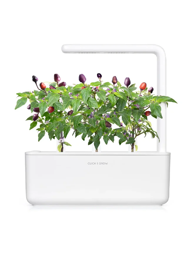 Click & Grow CLICK & GROW PURPLE CHILI SMART GARDEN REFILL