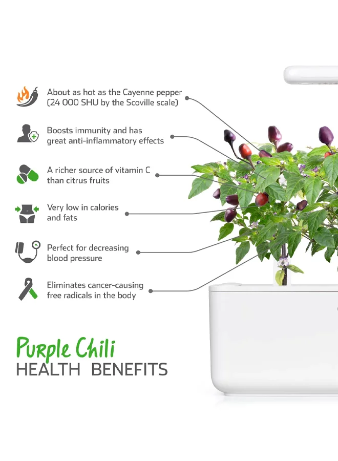 Click & Grow CLICK & GROW PURPLE CHILI SMART GARDEN REFILL