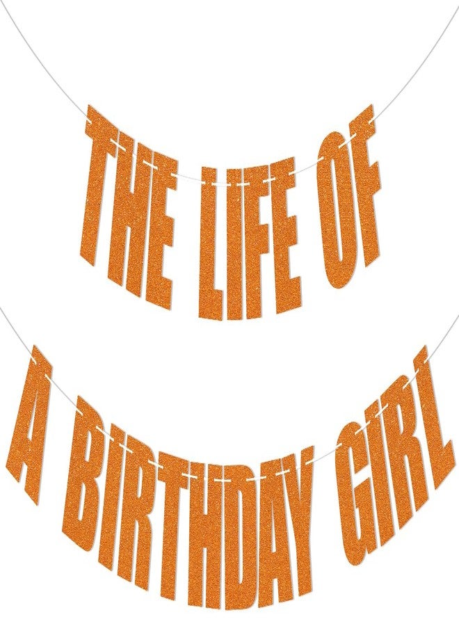 Ramciyo The Life of a Birthday Girl Banner - Showgirl Birthday Decorations, Showgirl Themed Bday Party Decorations - Image 1