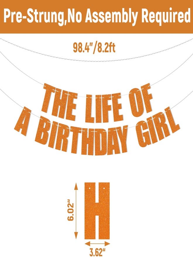 Ramciyo The Life of a Birthday Girl Banner - Showgirl Birthday Decorations, Showgirl Themed Bday Party Decorations - Image 3