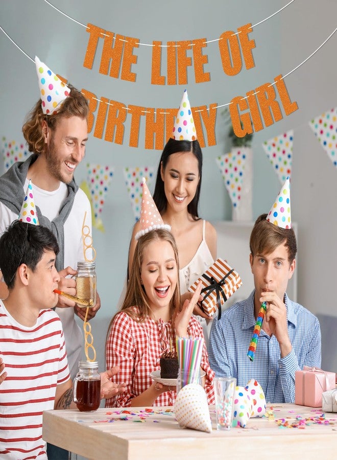 Ramciyo The Life of a Birthday Girl Banner - Showgirl Birthday Decorations, Showgirl Themed Bday Party Decorations - Image 4