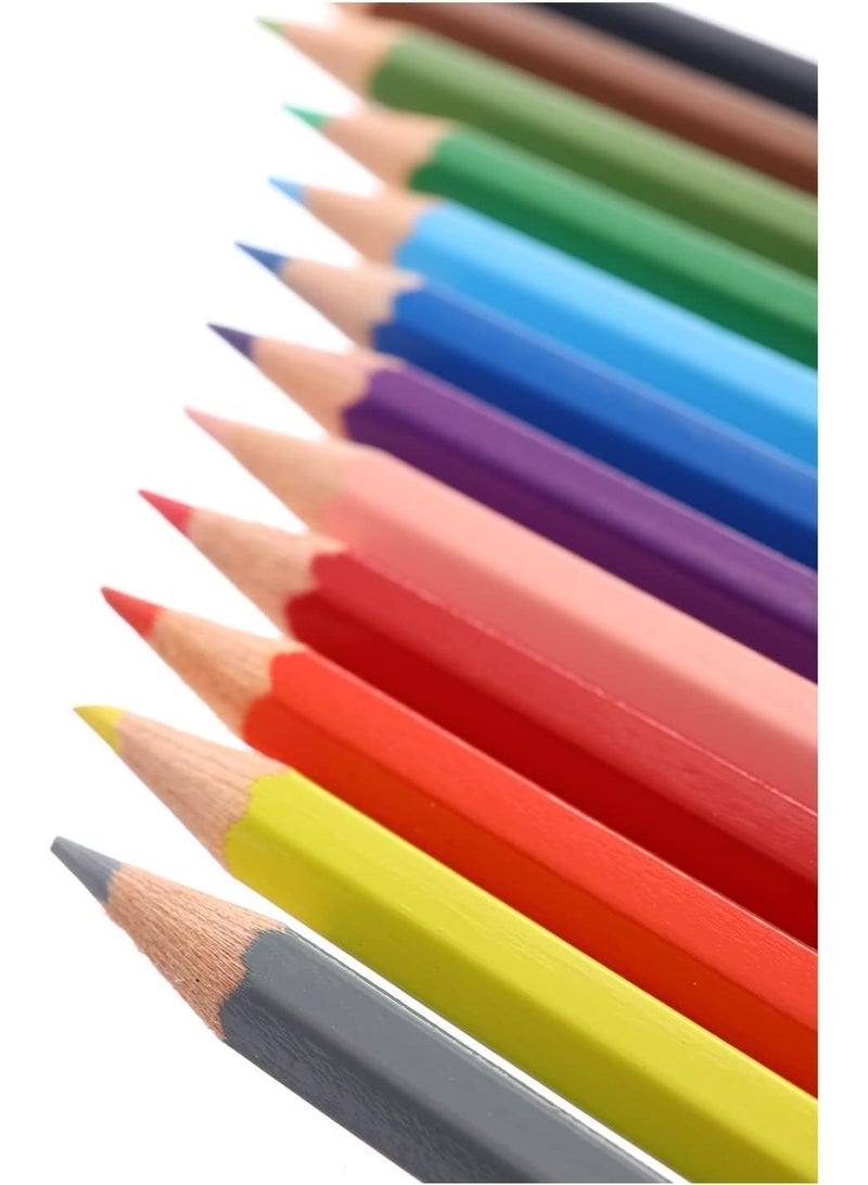 FABER-CASTELL Premium Quality Wood Multi Color Long Color Pencils Set, 12 Pieces - Image 2