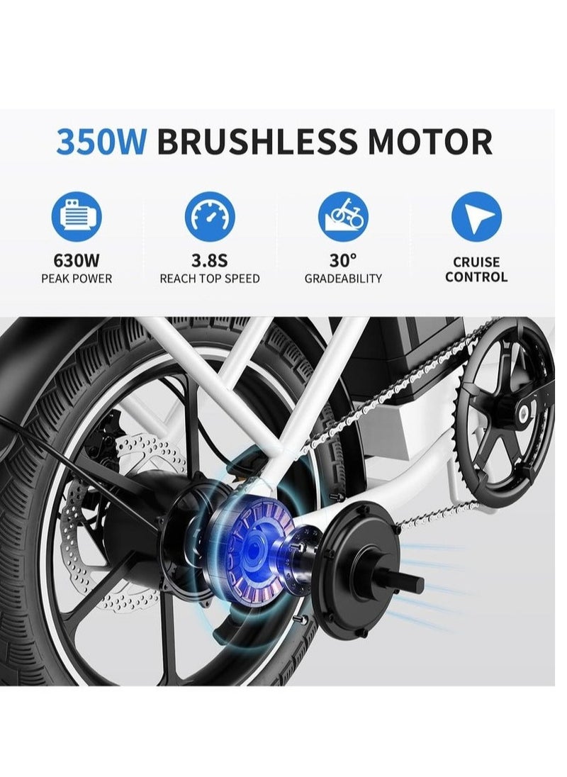 Windhorse Folding Electric Bike W2A with 350W High Speed Motor| 36V 8AH Battery 40 KM/H Speed|35 KM Range| Dual Disk Brake| Carbon Alloy Frame and 16 Inches Tires  - Image 5