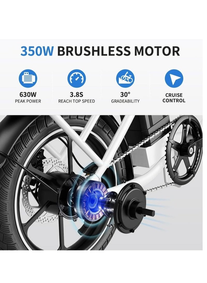 Windhorse Folding Electric Bike W2A with 350W High Speed Motor| 36V 8AH Battery 40 KM/H Speed|35 KM Range| Dual Disk Brake| Carbon Alloy Frame and 16 Inches Tires - Image 4