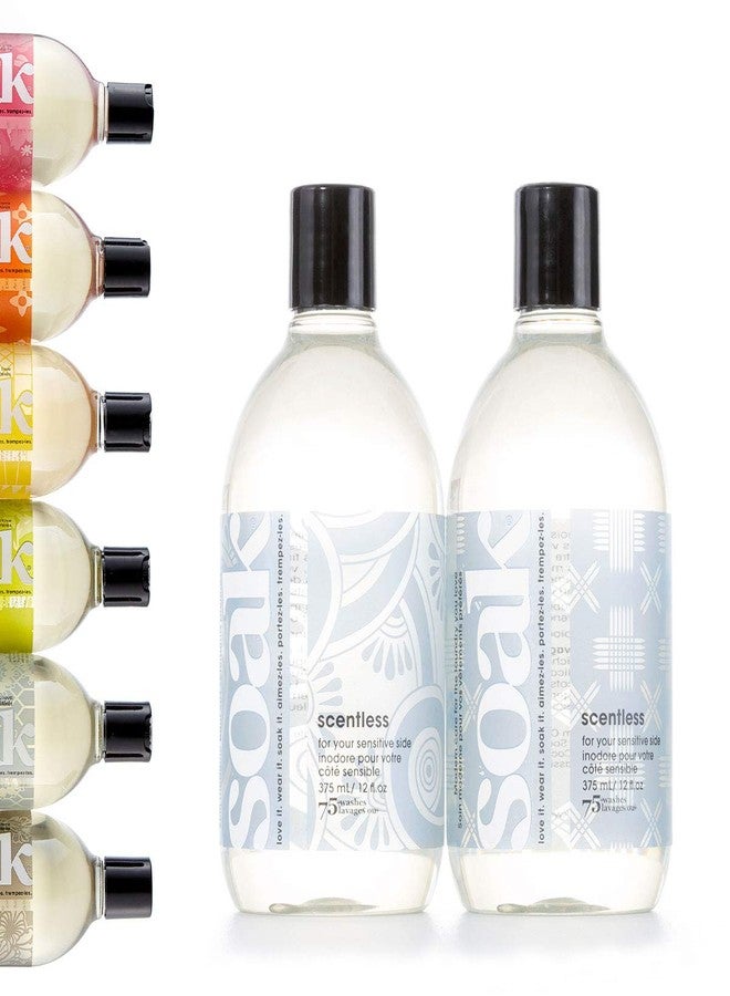 Soak Laundry Soap - 2 Pack Shop & Share | No Rinse, Plant Derived Hand Wash Detergent - 375 ml / 12 fl. oz, 75+ Washes (Scentless) - Image 1