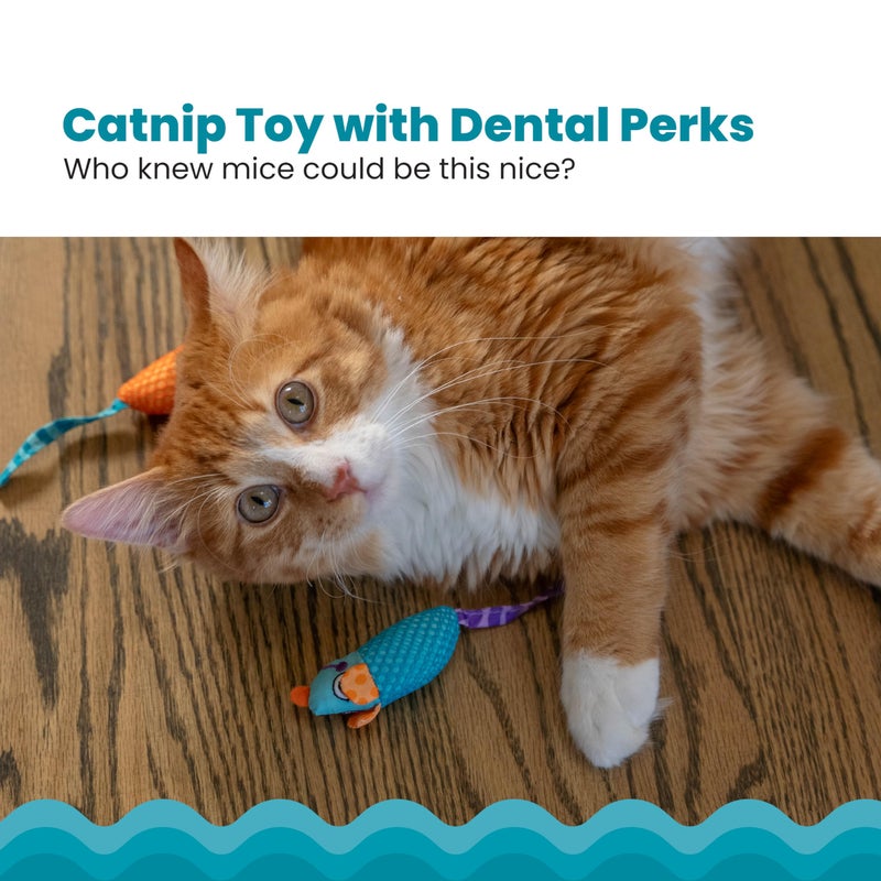 Catstages Catnip Chew Mice 2 Packâ€“ Interactive Dental Cat Chew Toy that Helps Clean Teeth, Mouse, Multicolored - Image 2