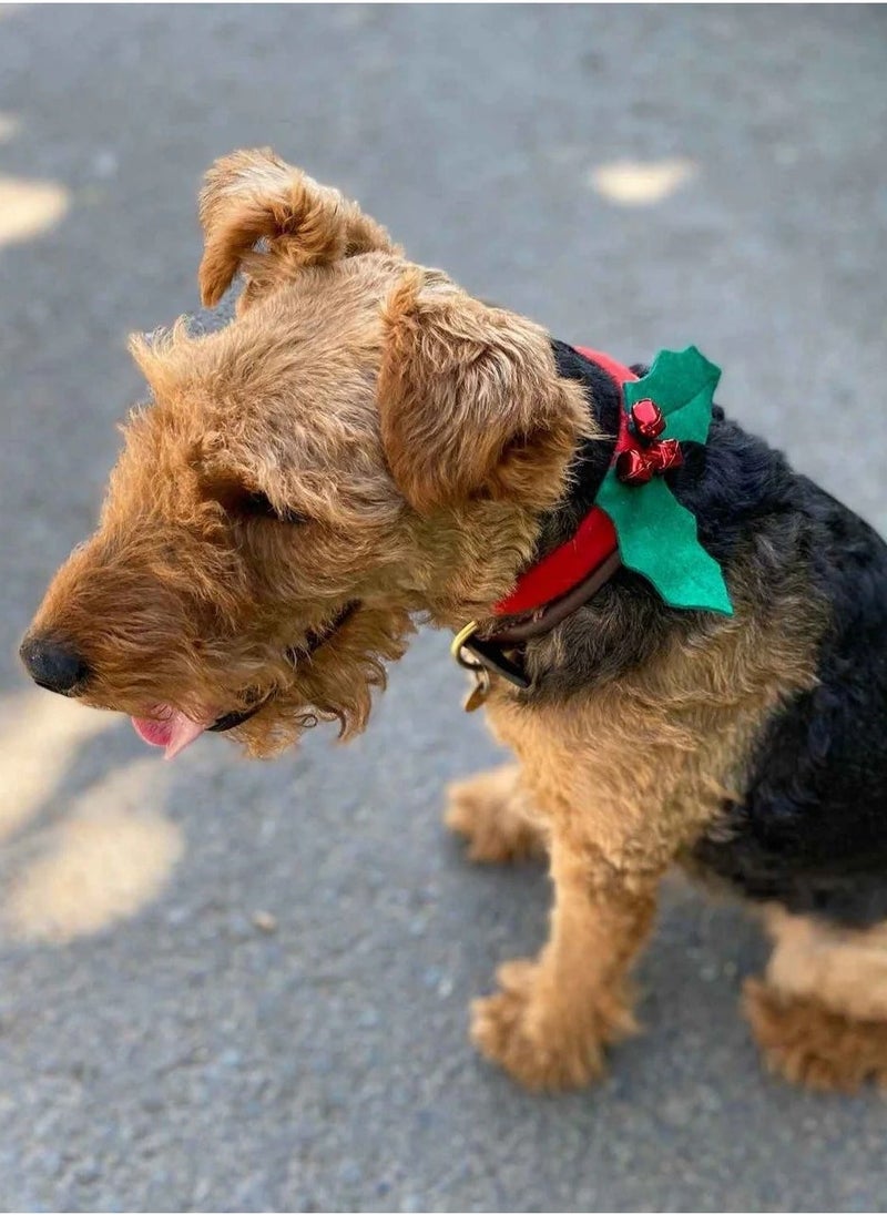 Talking Tables - Christmas Holly Dog Dress Up - Image 1