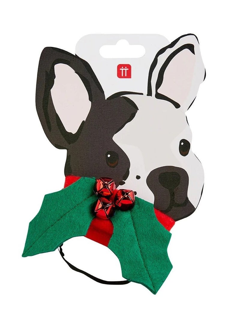 Talking Tables - Christmas Holly Dog Dress Up - Image 1