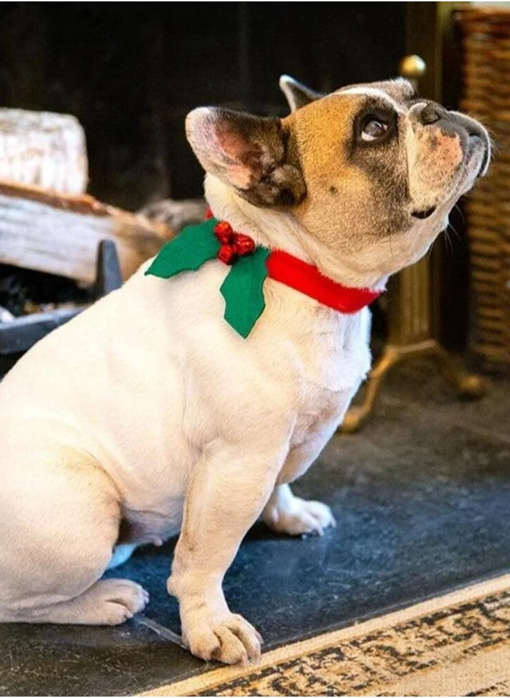 توكينج تيبلز Christmas Holly Dog Dress Up