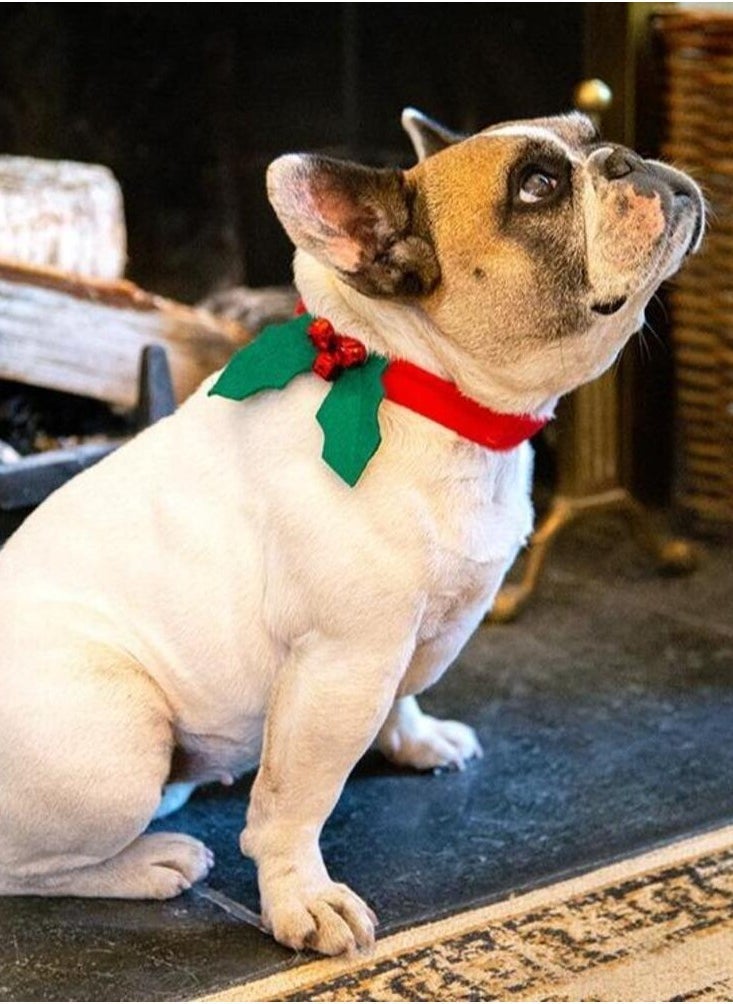 Talking Tables - Christmas Holly Dog Dress Up - Image 1