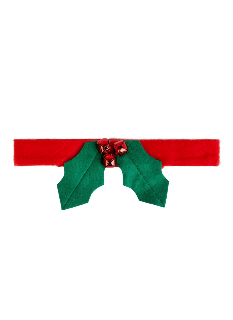 Talking Tables - Christmas Holly Dog Dress Up - Image 1