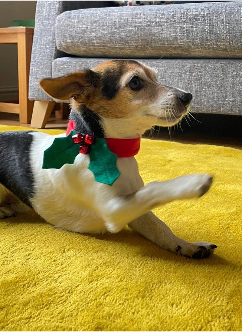 Talking Tables - Christmas Holly Dog Dress Up - Image 1