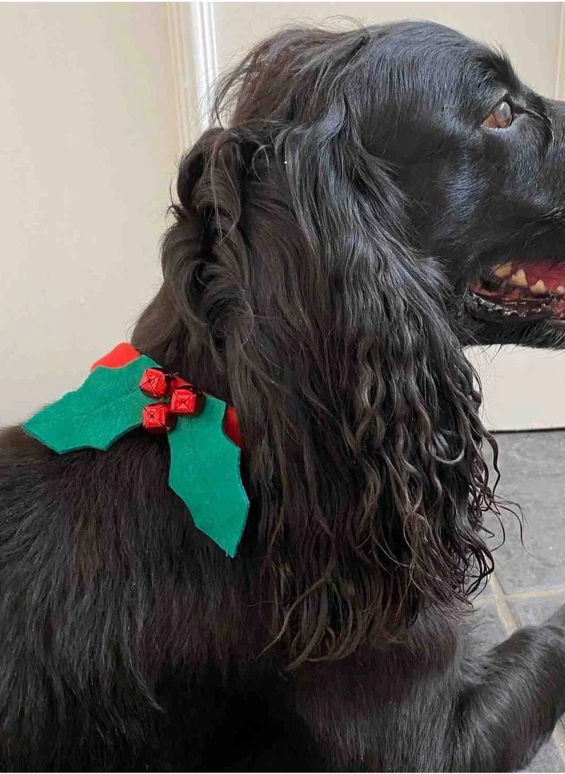 Talking Tables - Christmas Holly Dog Dress Up - Image 1