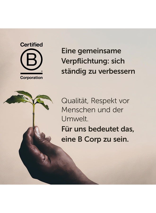 Illy Classico Classic Roast Filter Ground Coffee, 8.8 oz - Image 4