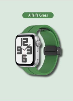 Alfalfa grass