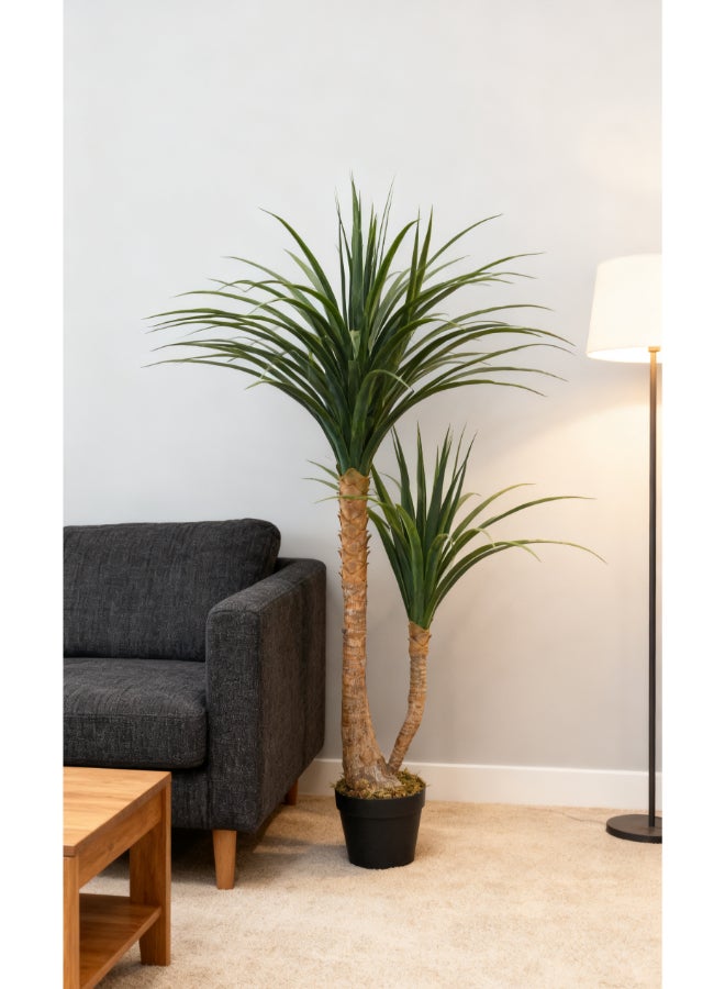 ايست من نون شجرة يوكّا الاصطناعية بارتفاع 120 سم (4 قدم) مع وعاء | نبات أرضي بتصميم وملمس واقعي - أخضر | شجرة بت texture طبيعي زخرفي للمنزل، غرفة المعيشة، غرفة الدراسة ومساحات المكتب - Image 2