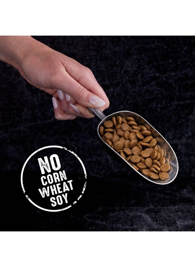 كريف طعام القطط الجاف الطبيعي عالي البروتين وخالي من الحبوب من CRAVE للبالغين مع بروتين من الدجاج، كيس 2 رطل - Image 4