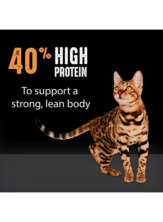 كريف طعام القطط الجاف الطبيعي عالي البروتين وخالي من الحبوب من CRAVE للبالغين مع بروتين من الدجاج، كيس 2 رطل - Image 2