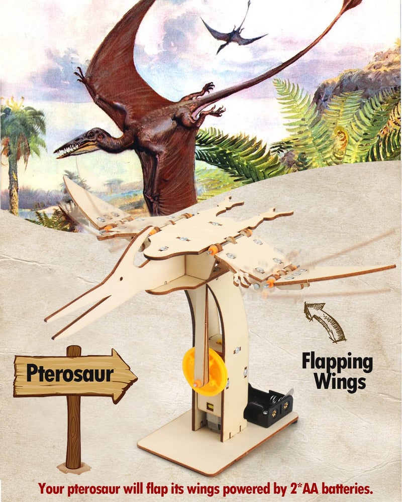 Poraxy 4 Pack Dinosaur Toys for Kids 8-12, STEM Kits, Toys for Ages 8-13, Wooden 3D Puzzle, Educational Science Building Projects Crafts, Birthday Gifts for Boys Girls 7 8 9 10 11 12 13 Years Old - Image 5