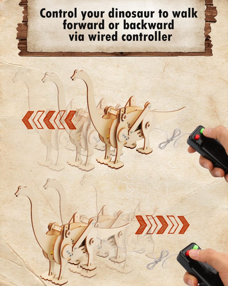 Poraxy 4 Pack Dinosaur Toys for Kids 8-12, STEM Kits, Toys for Ages 8-13, Wooden 3D Puzzle, Educational Science Building Projects Crafts, Birthday Gifts for Boys Girls 7 8 9 10 11 12 13 Years Old - Image 3