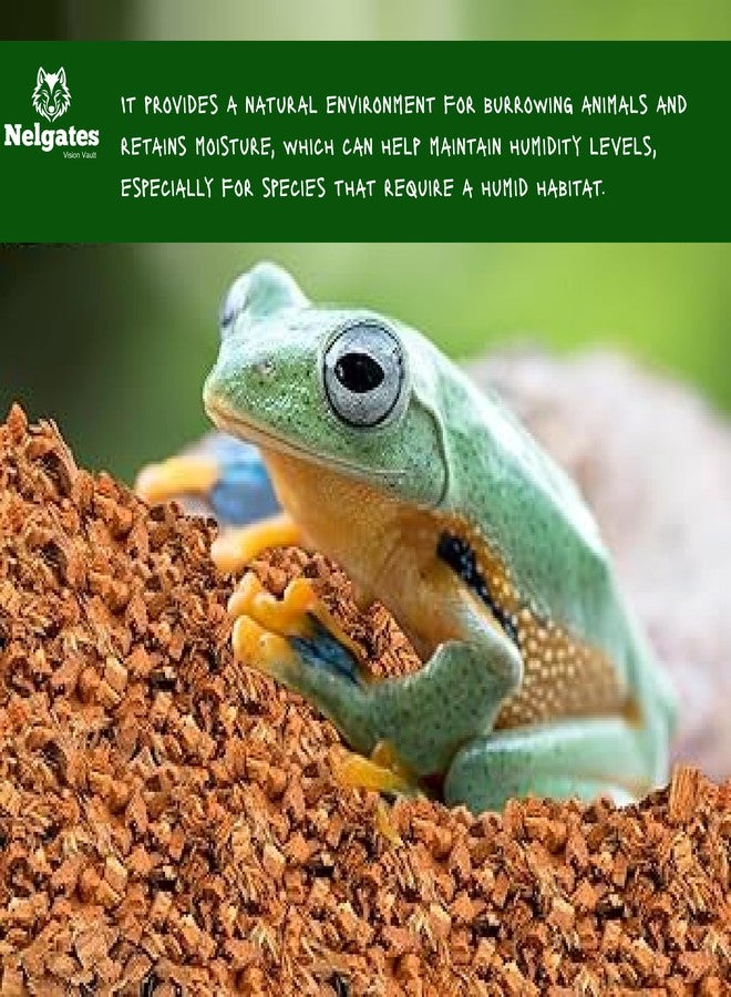 Nelgates Coconut Husk for Reptiles Bedding 650g Coco Coir Chips Terrarium Substrate for Ball Python Frog Snake Turtles,Gecko Hermit Crab Tortoise - Image 2