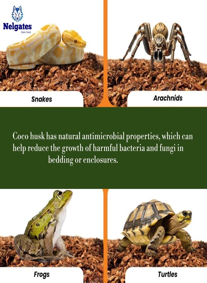 Nelgates Coconut Husk for Reptiles Bedding 650g Coco Coir Chips Terrarium Substrate for Ball Python Frog Snake Turtles,Gecko Hermit Crab Tortoise - Image 4