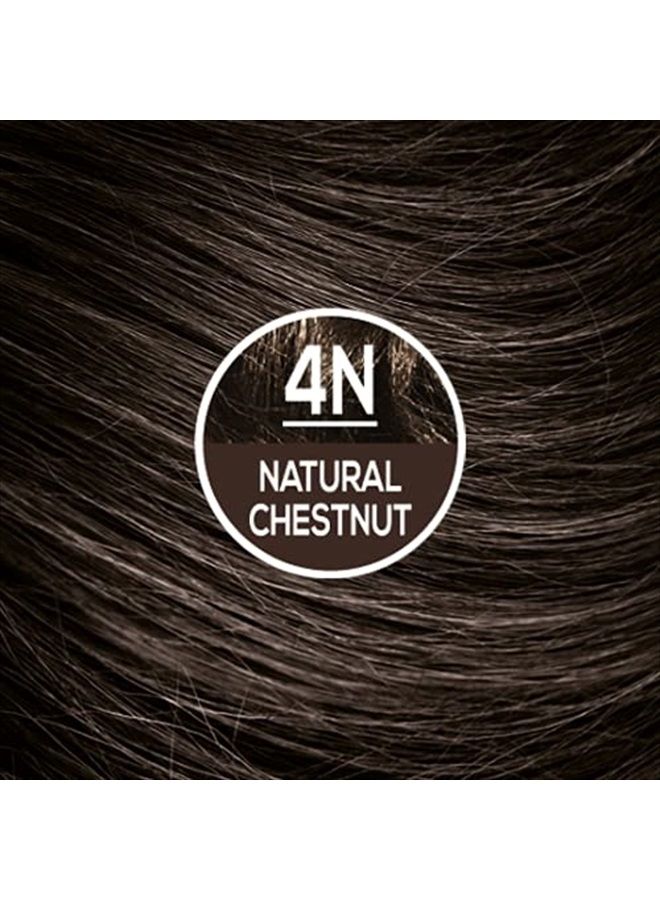 NATURTINT لون شعر دائم 4N كستناء طبيعي (عبوة من 1) ، خالي من الأمونيا ، نباتي ، خالي من القسوة ، تغطية تصل إلى 100% من الشعر الرمادي ، نتائج تدوم طويلاً - Image 5