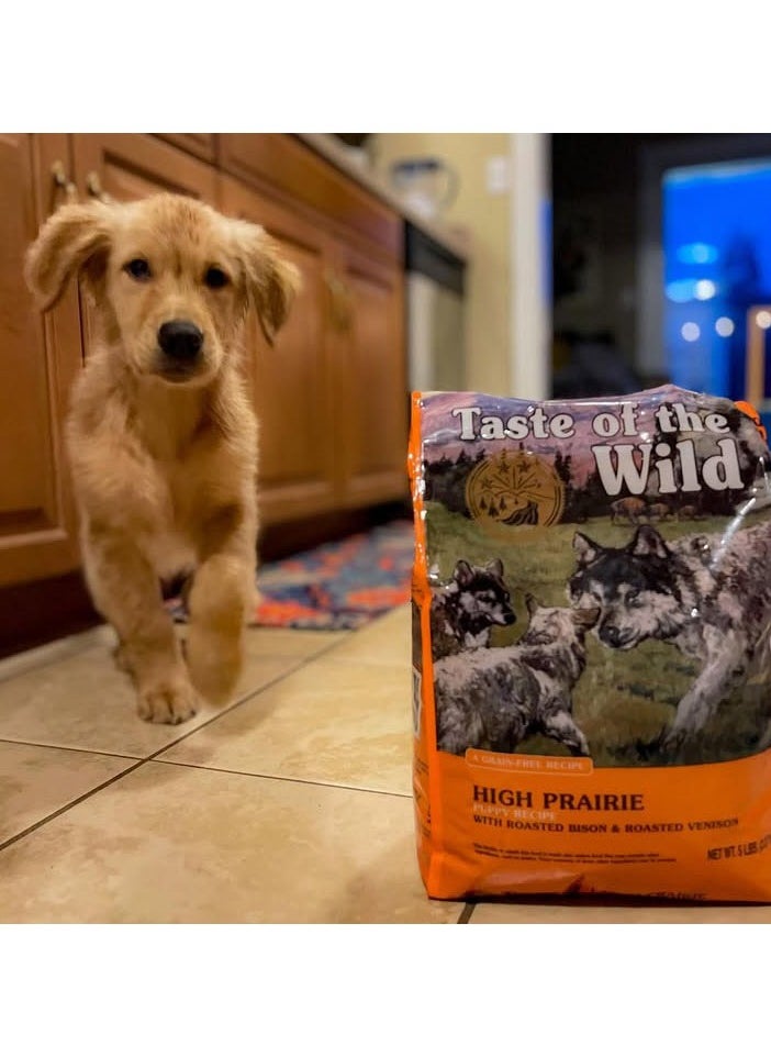 Taste of the Wild - Taste of the Wild High Prairie Puppy Recipe  12.20kg - Image 1
