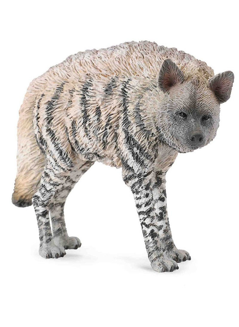 Collecta - Striped Hyena - 88566