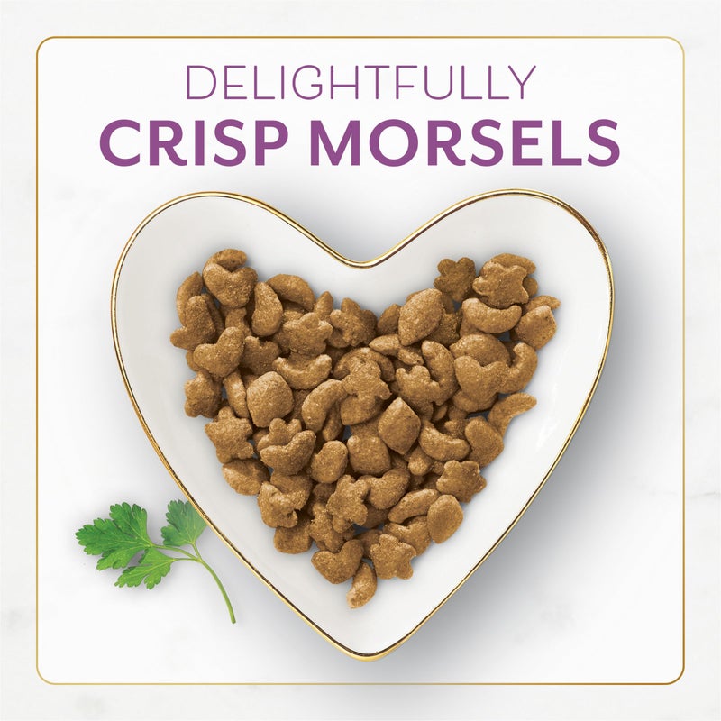 Fancy Feast Purina Fancy Feast Dry Cat Food with Savory Farm-Raised Chicken and Turkey - 3 lb. Bag - Image 2