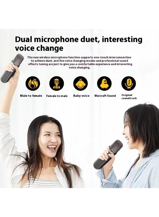 AiQi Wireless Home KTV Set with Subwoofer & 2 UHF Microphones, 10W Speaker, Voice Effects, Long Battery Life, Multi-Device Compatible - Image 2