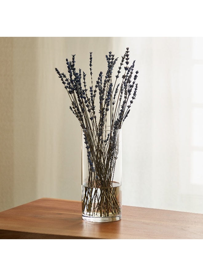 هوم بوكس فازة زجاجية أتلانتا أسطوانية شفافة ١٠٢٣ سم - Image 1