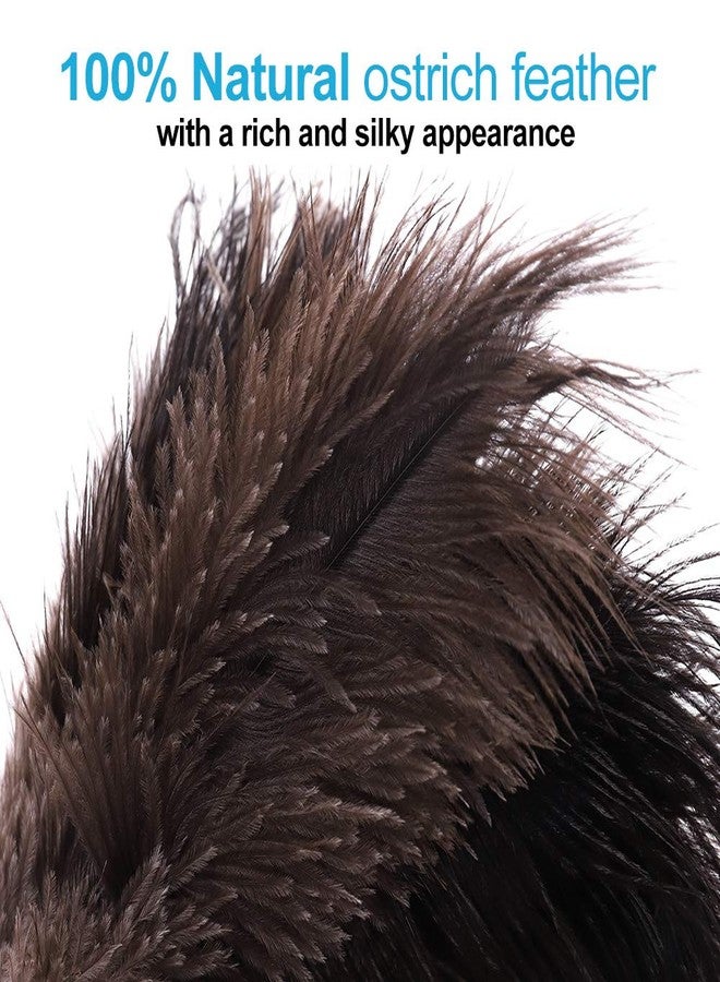 Midoneat Natural Black Ostrich Feather Duster,2 Packs,Car Duster Interior/Exterior Cleaner, Cleaning for Blinds Kitchen Keyboard Office, Smart and Soft and Fluffy (Black) - Image 3