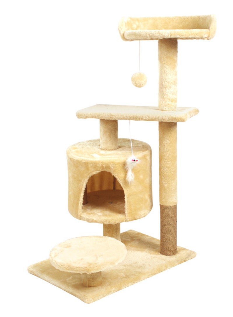 كيدل شجرة قطط أليفة