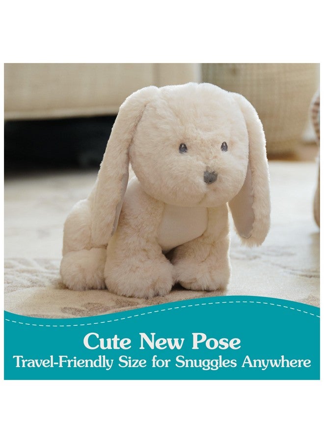 GUND Baby Clover Bunny Plush, Bunny Stuffed Animal for Babies and Toddlers, Cream, 10” - Image 2