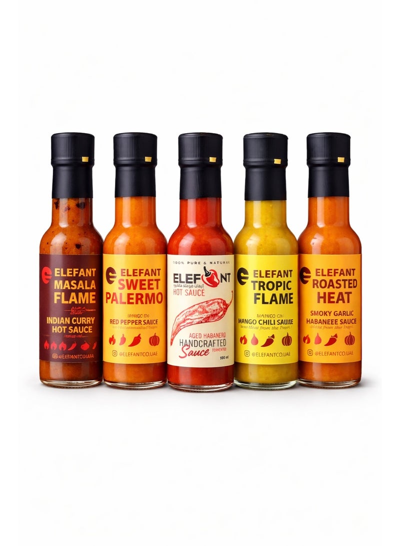 ELEFANT Hot Sauce Variety Pack of 5 – Aged Habanero, Mango Chili, Smoky Garlic, Red Pepper & Indian Curry – Handcrafted & Fermented – From Mild to Extra Hot – 100ml Each - Image 1