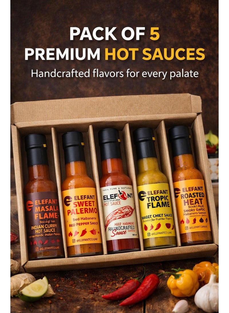 ELEFANT Hot Sauce Variety Pack of 5 – Aged Habanero, Mango Chili, Smoky Garlic, Red Pepper & Indian Curry – Handcrafted & Fermented – From Mild to Extra Hot – 100ml Each - Image 2