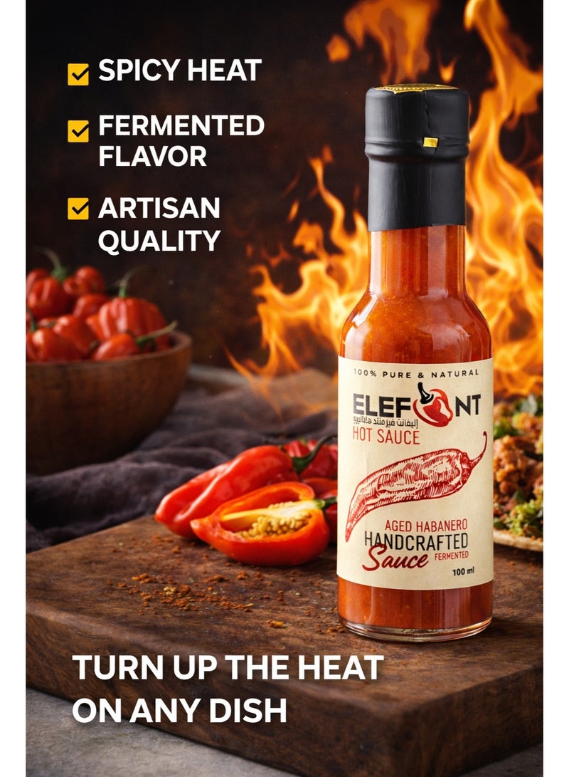 ELEFANT Hot Sauce Variety Pack of 5 – Aged Habanero, Mango Chili, Smoky Garlic, Red Pepper & Indian Curry – Handcrafted & Fermented – From Mild to Extra Hot – 100ml Each - Image 3
