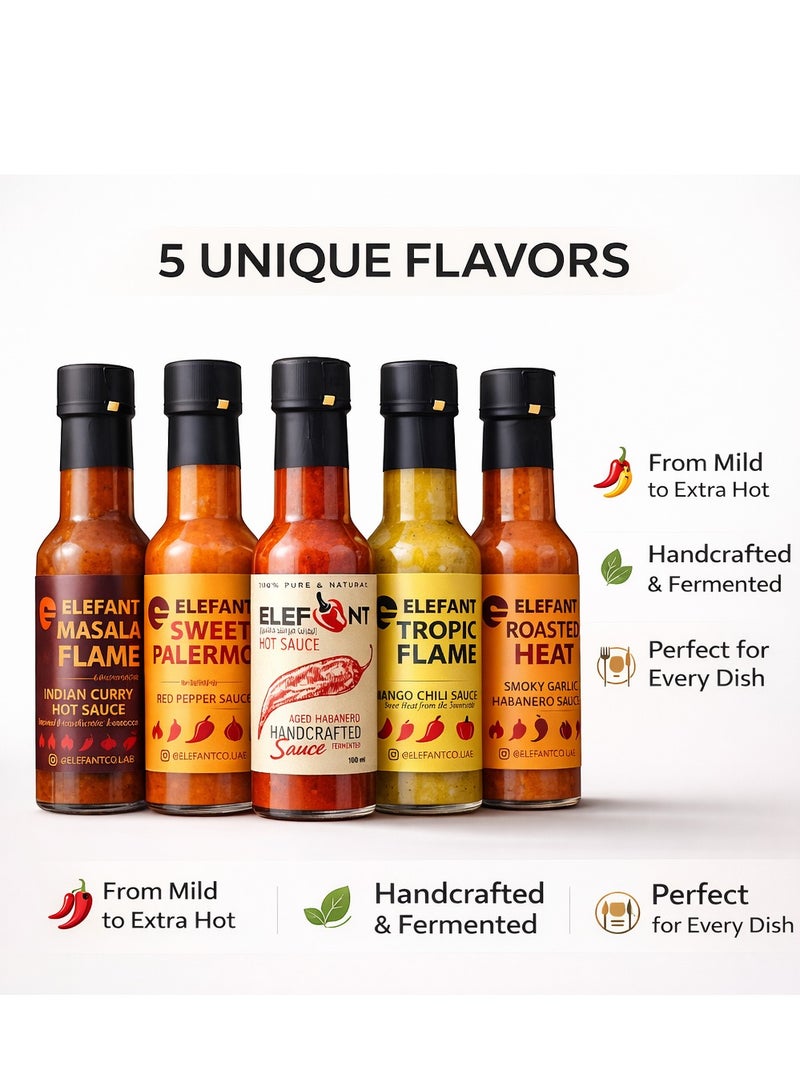 ELEFANT Hot Sauce Variety Pack of 5 – Aged Habanero, Mango Chili, Smoky Garlic, Red Pepper & Indian Curry – Handcrafted & Fermented – From Mild to Extra Hot – 100ml Each - Image 5
