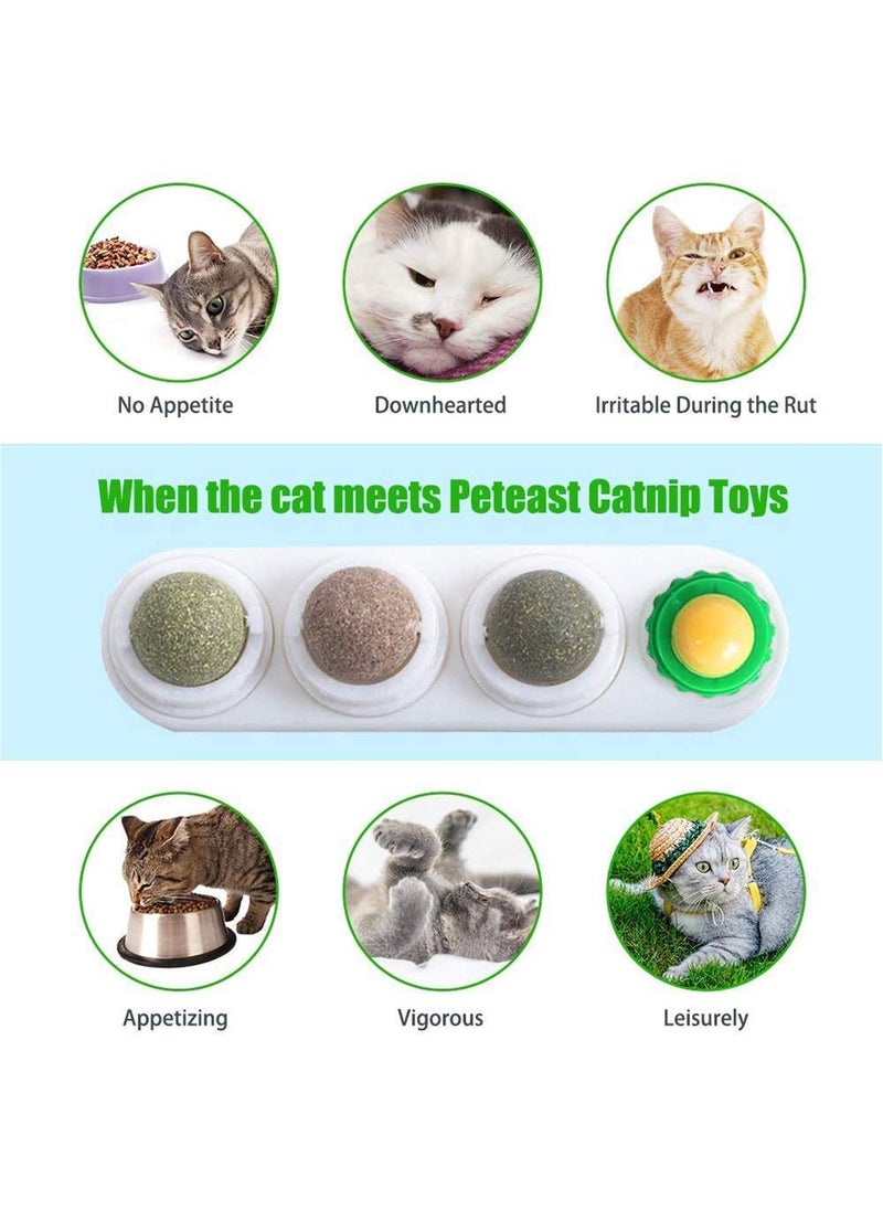 لعبة الكرة Catnip للقطط لعق الوجبات الخفيفة الطبيعية الصالحة للأكل
