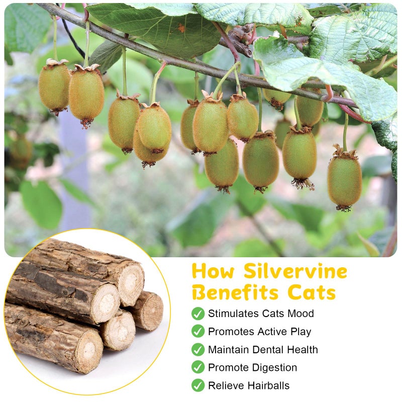 Okxiri 9 Pack Silvervine Sticks for Cats, Natural Cat Chew Stick Cat Toys Set, Matatabi Dental Care Cat Treat for Indoor Cats/Kittens Dental Care Teeth Cleaning/Play - Image 4