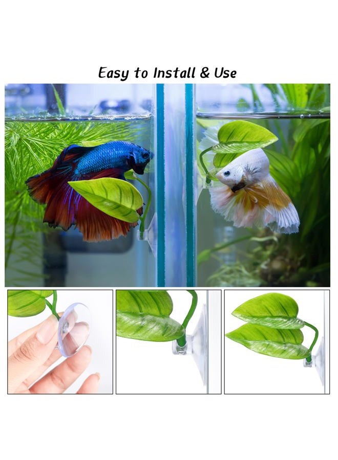 URATOT 4 Pack Betta Fish Leaf Pad Simulating The Natural Habitat for Betta Spawning Grounds Breeding Resting Bed - Image 3