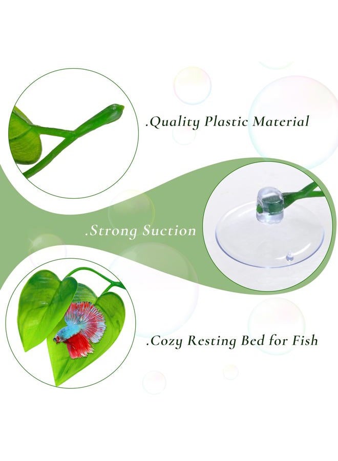 URATOT 4 Pack Betta Fish Leaf Pad Simulating The Natural Habitat for Betta Spawning Grounds Breeding Resting Bed - Image 4