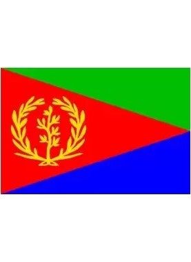 Eritrea Desk Flag - pzsku/ZCE6E58AD0B645F0A65E8Z/45/_/1730542628/3d592d5e-dd10-4821-b31c-27b4b56182f1