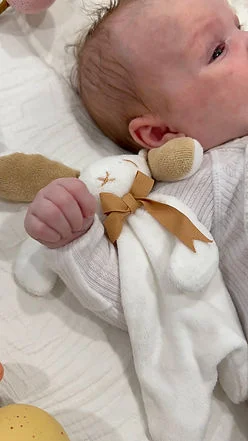 Maud N Lil Organic Luxury Bunny Baby Gift Box