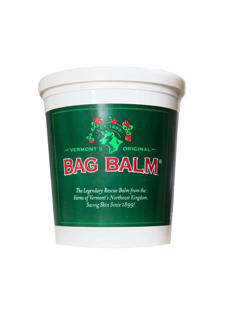 Bag Balm - Bag Balm Vermonts Original Hand  Skin Moisturizer Cracked Heels Treatment Dry Hands  Dogs Ointment  72oz Pail - Image 1