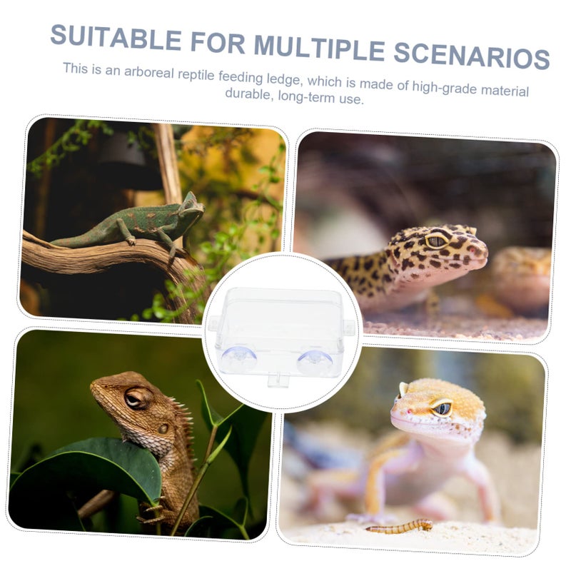 2 Pcs Compact Suction Bowls for Reptile Food and Water Feeding Dishes - Image 5