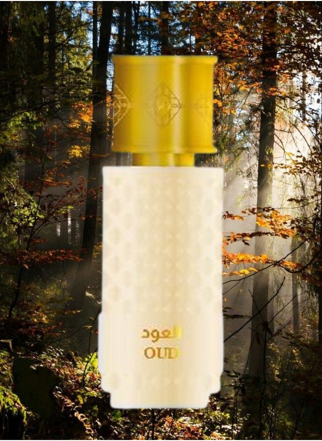 2 Pieces Oud Perfume 100ML