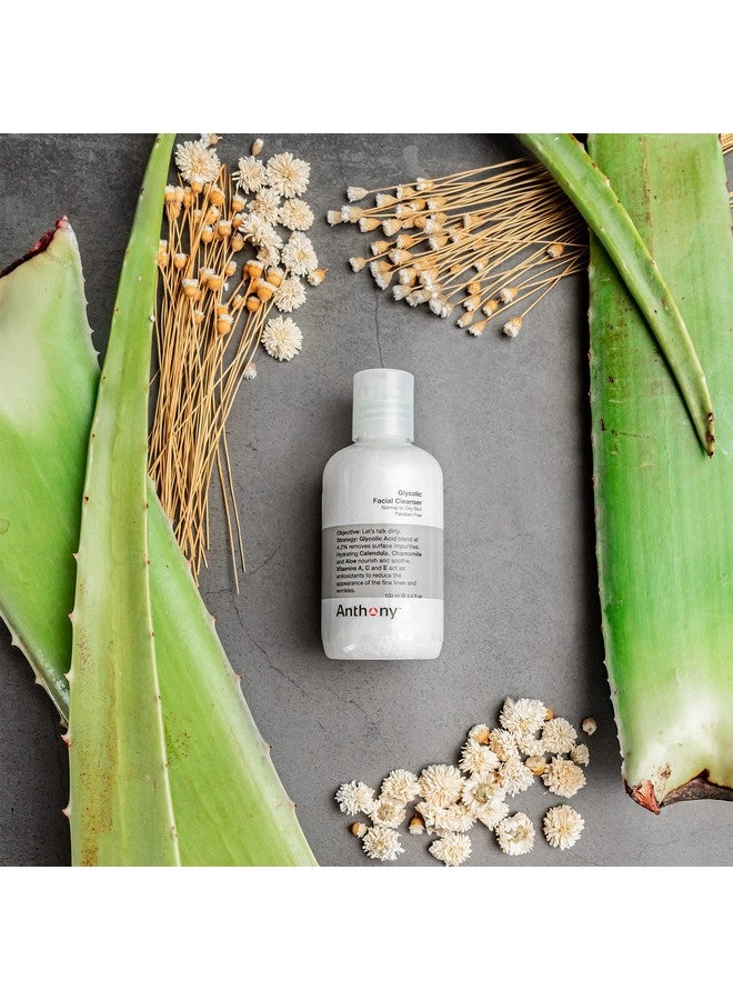 Anthony Face It & Go Kit Set Includes Glycolic Facial Cleanser 3.4 Fl Oz. All Purpose Facial Moisturizer 3 Fl Oz. Facial Scrub 3.4 Fl Oz. - Image 3